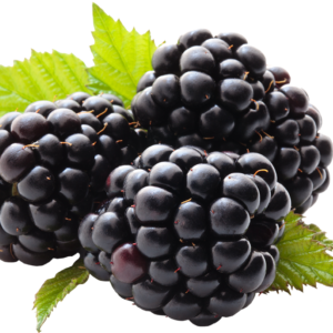 simple blackberry fruit transparent picture free download eqtmfa